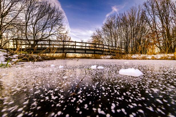 _MG_2897 Winter