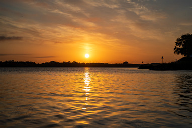 09-06-2019 Rondje Biesbosch met Gerard Kanters